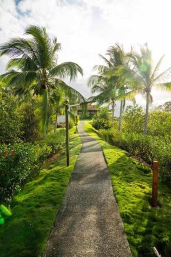 Casa Marlin Bed & Breakfast Bocas del Toro Exterior photo